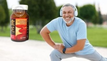 Cách dùng nấm linh chi sừng hươu Nhật natural ganoderma lucidum hiệu quả
