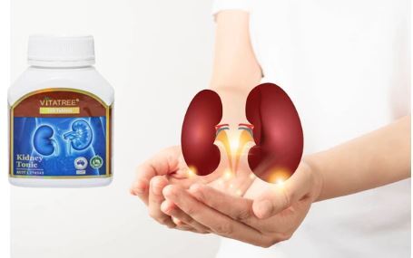 thuoc-kidney-tonic-bo-than-gia-bao-nhieu-mua-o-dau-uy-tin1