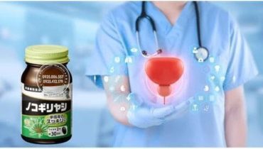 Saw palmetto Noguchi có tác dụng gì? Review sự thật có tốt không?